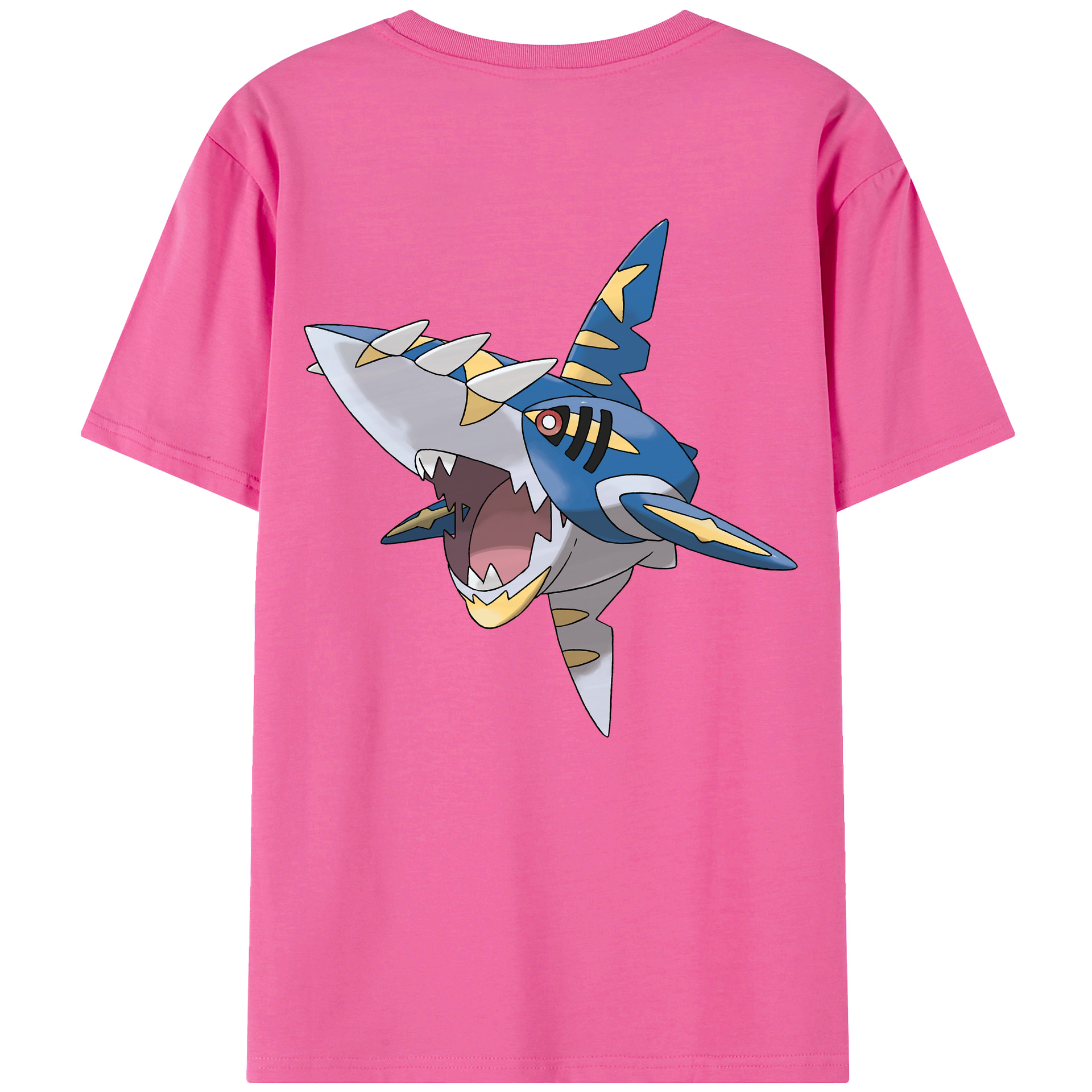 （画像用） ポケットモンスター Pokémon レディース半袖Tシャツ(バックプリント)